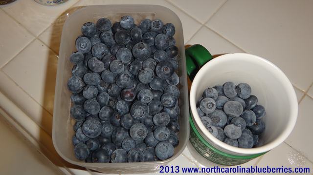 Freezing blueberries to use later