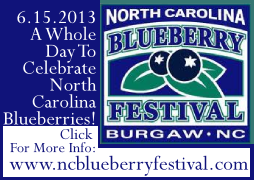 image: North Carolina Blueberry Festival