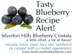 image blueberry recipe alert