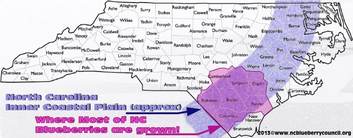 map production North Carolina blueberry