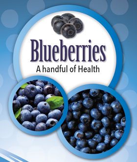 Handful of Health Blueberries Are Nature's Super Fruit