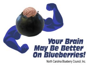 Studies support blueberries are good for your brain